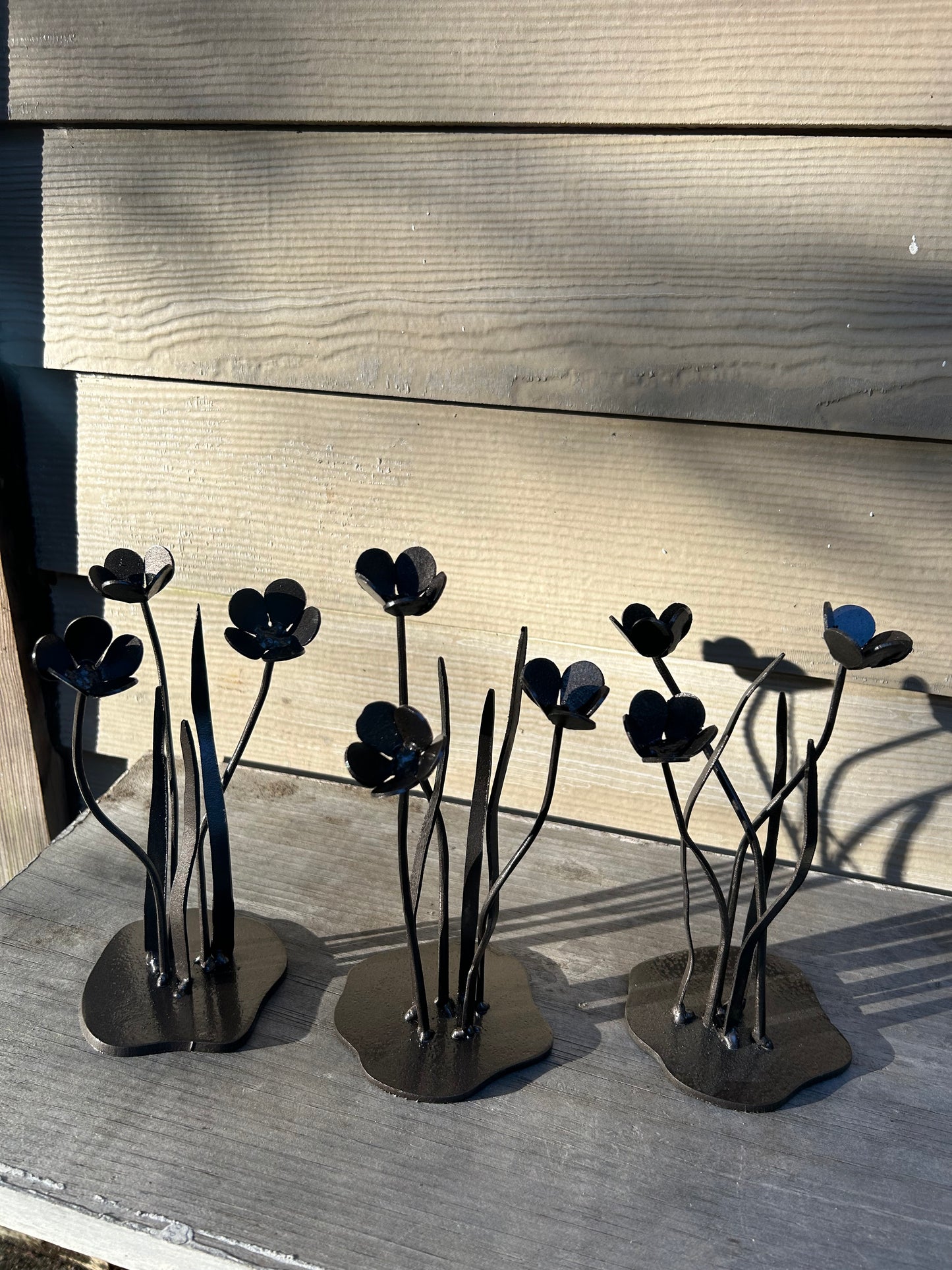 Buttercups - Consider The Wildflowers