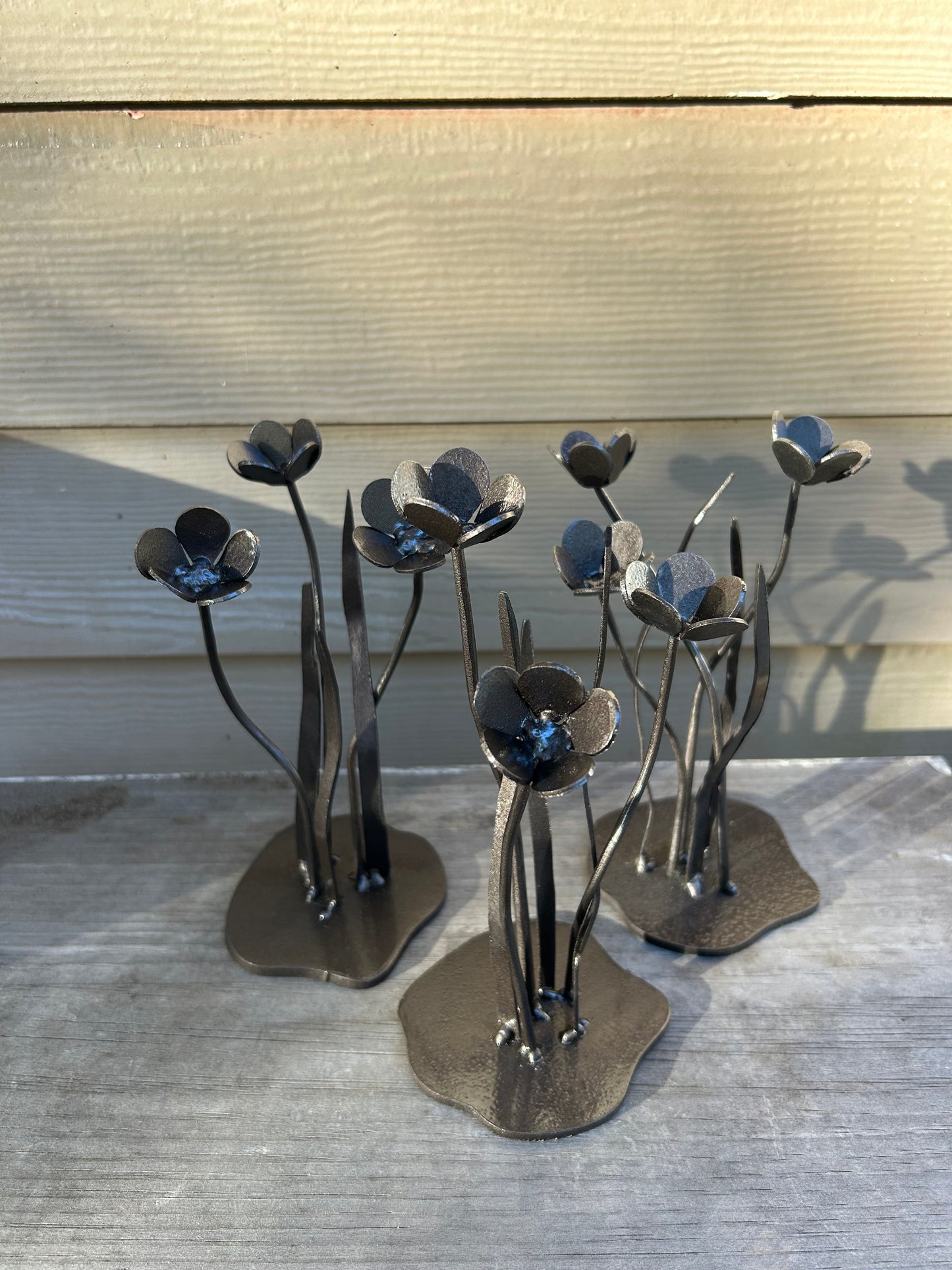 Buttercups - Consider The Wildflowers