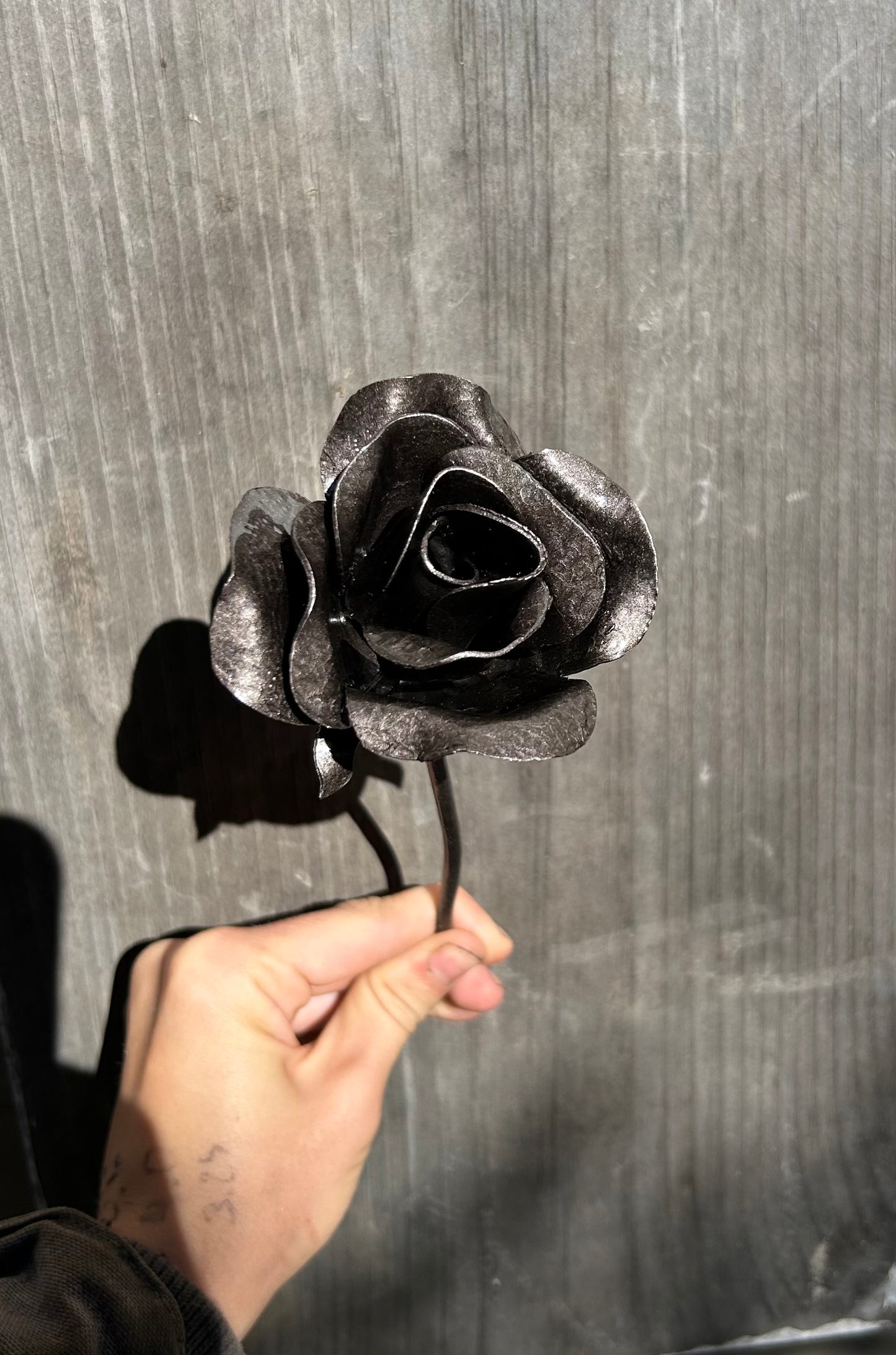 Everlasting Rose - Consider The Wildflowers Collection