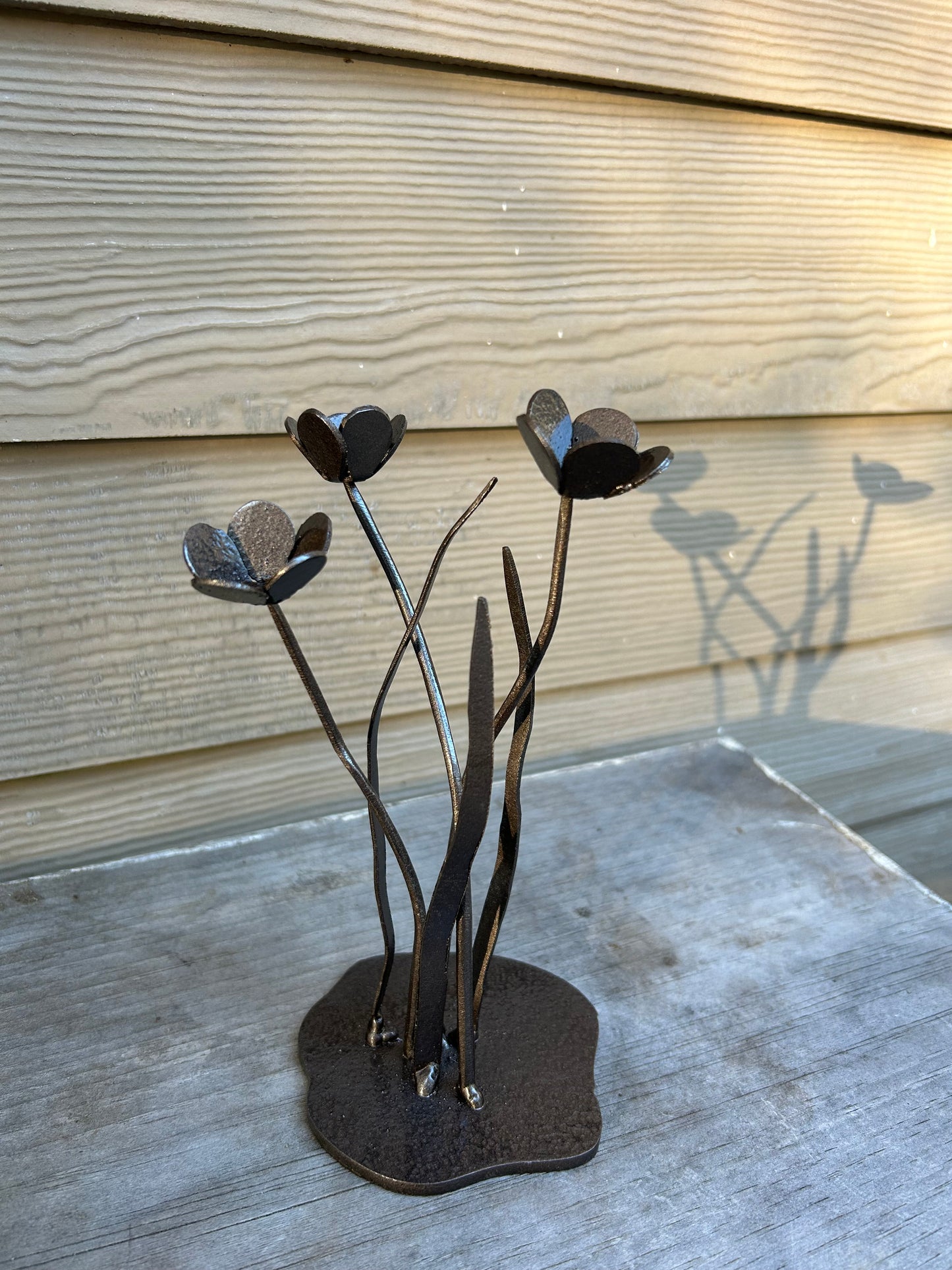 Buttercups - Consider The Wildflowers