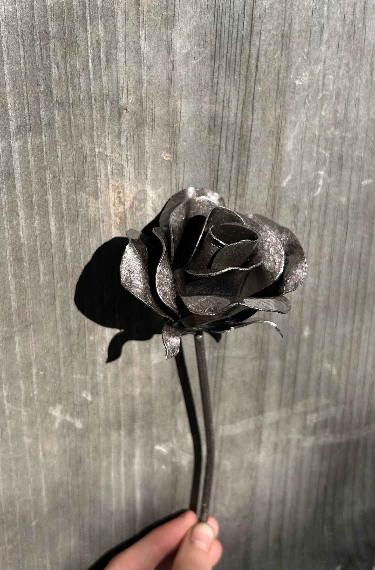 Everlasting Rose - Consider The Wildflowers Collection