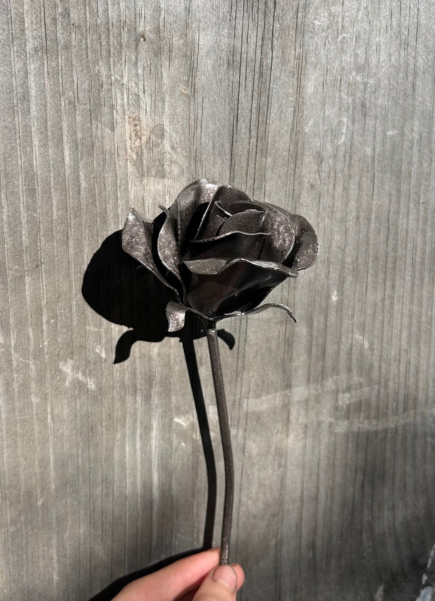 Everlasting Rose - Consider The Wildflowers Collection