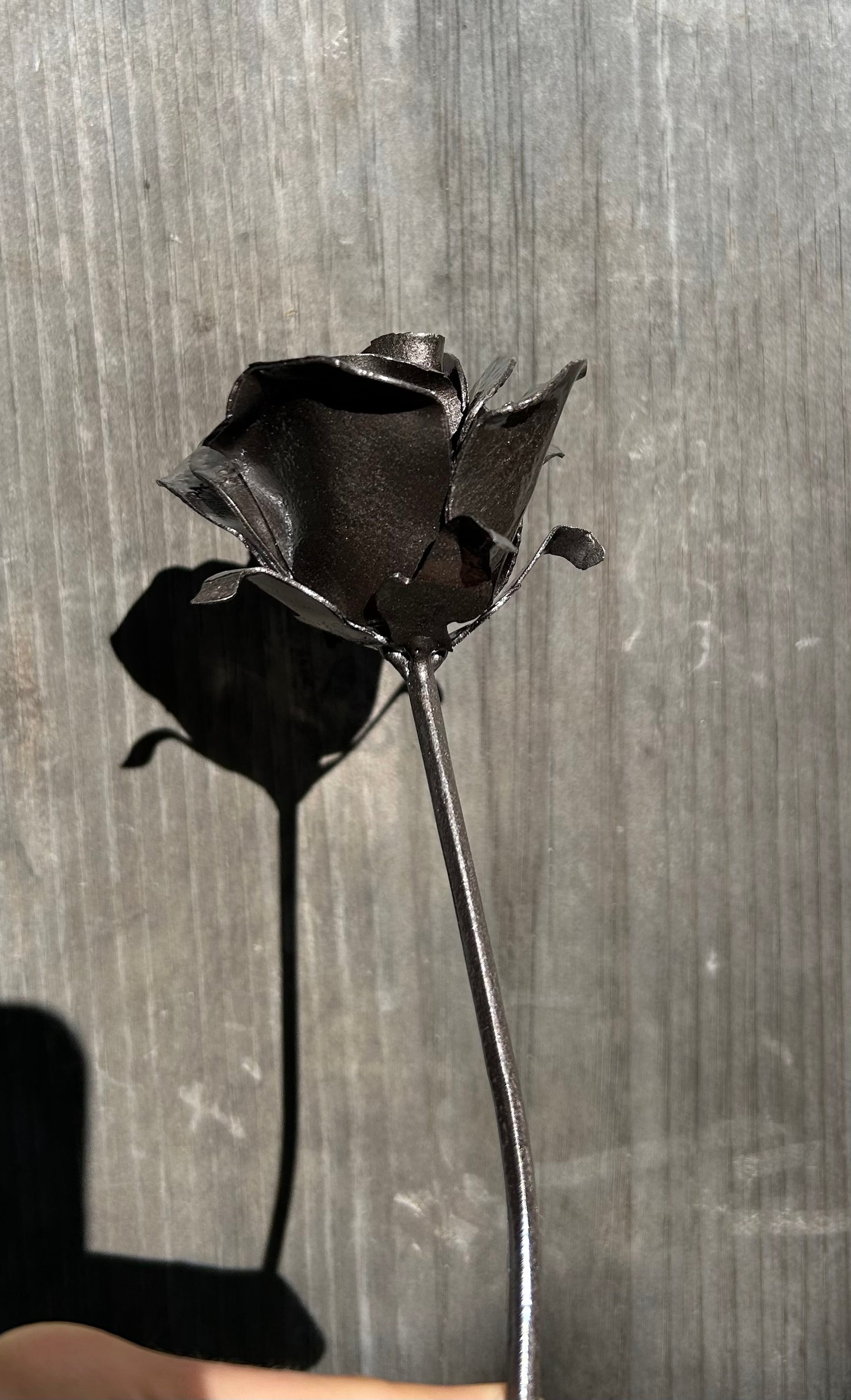 Everlasting Rose - Consider The Wildflowers Collection