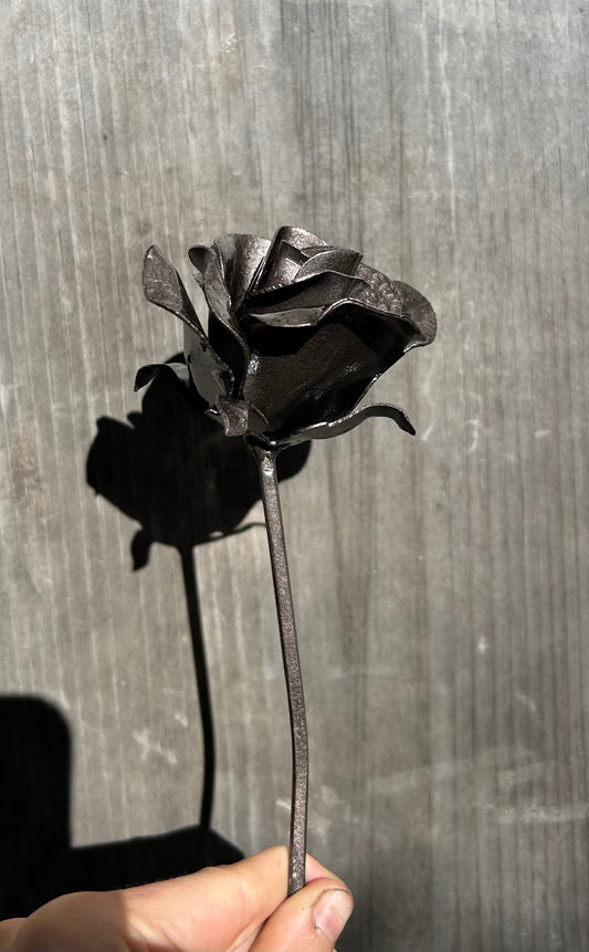 Everlasting Rose - Consider The Wildflowers Collection